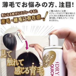 育毛剤 120mL 2本セット ドライドライド...の詳細画像1