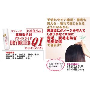 育毛剤 120mL 2本セット ドライドライド...の詳細画像2