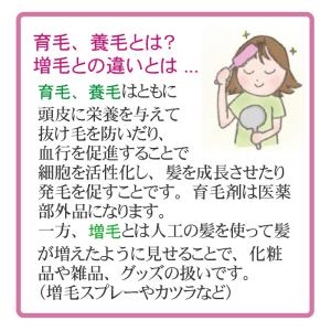 育毛剤 120mL 2本セット ドライドライド...の詳細画像3