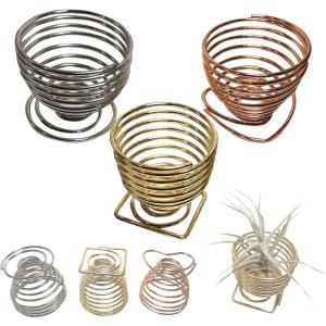 エアプランツ ホルダー スタンド 観葉植物 本物 チランジア コルク へご (丸型3個)