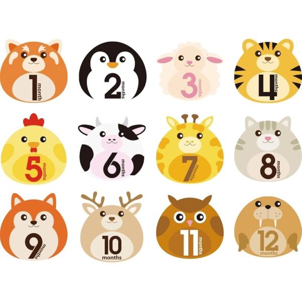 マンスリーカード 月齢フォト 月齢カード ベビーマンスリーカード 育児日記 マンスリーステッカー 記...