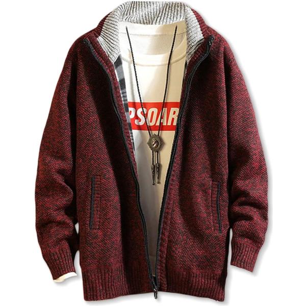 メンズ パーカー アウター(ワインレッド,  3L)