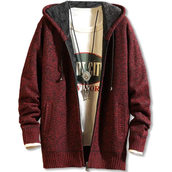 メンズ パーカー アウター (ワインレッド,  4L)