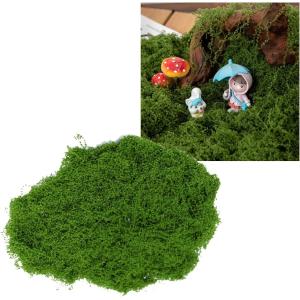 人工苔 フェイクグリーン ジオラマ 装飾 鉢植え 盆栽 DIY 水槽 イベント ディスプレイ(グリーン, 100g)