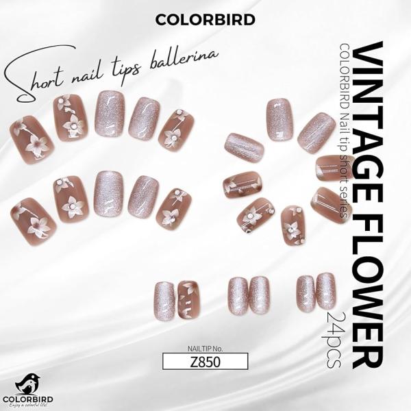 ネイルチップ ショート バレリーナ スクエア(マルチカラー,  ショート)