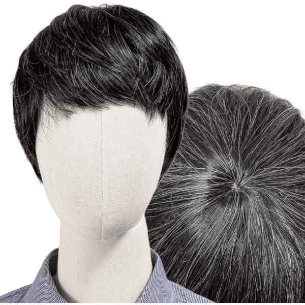 ウィッグ 白髪 白髪かつら 医療用 フルウィッグ ショート グレイヘア 高齢者 中高年(白2黒8, ...