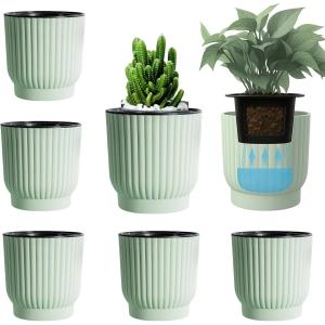 底面給水鉢 5個セット 植木鉢 観葉植物 給水ひも付き 貯水槽付 透明