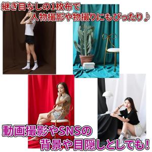 背景布 リネン調 180cm*250cm 無地...の詳細画像4