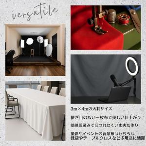 背景布 3m×4m 大型 無地 バックスクリー...の詳細画像2