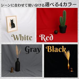 背景布 3m×4m 大型 無地 バックスクリー...の詳細画像4