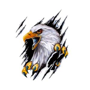 車 ステッカー 鷲の商品一覧 通販 Yahoo ショッピング