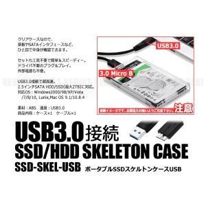 ポータブル SSD スケルトン ケース 透明 ...の詳細画像2