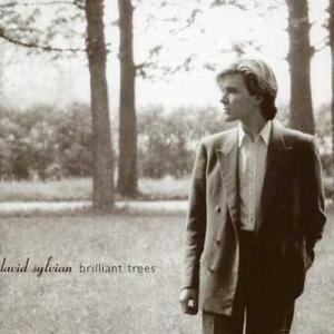 BRILLANT TREES-STANDARD-R