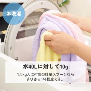 粉石けん お試し 部屋干し ニオイ 敏感肌 赤...の詳細画像5