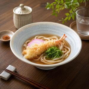 小石原焼 鶴見窯 7.5寸皿 (22.5cm) 白黒 渦模様 | パスタ皿 カレー皿