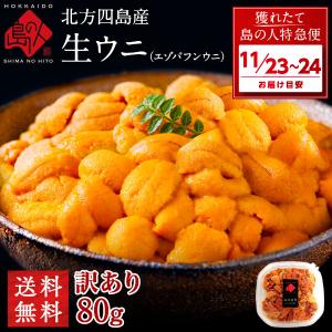 生ウニ うに 北方四島産 生エゾバフンウニ 80g 色が赤い訳あり品 塩水パック 生うに 雲丹