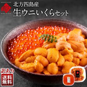 ウニ うに 訳あり いくらセット 送料無料 北方四島産 ロシア産 エゾバフンウニ80g 昆布だしイクラ50g 塩水パック 生ウニ 生うに