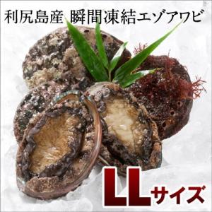 エゾアワビ 瞬間凍結 北海道礼文・利尻島産(LL) ギフト プレゼント用 北海道 内祝