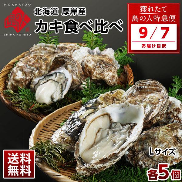 6月15日お届け 牡蠣 カキ 北海道 厚岸産 カキえもん まるえもん 殻付き 各Lサイズ5個  食べ...