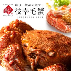 キズ有 自宅用 北海道 枝幸産 毛蟹 毛ガニ 800-850g前後 訳あり かに カニ 蟹 毛がに けがに カニみそ カニ味噌  内祝い お返し 海鮮 ギフト プレゼント