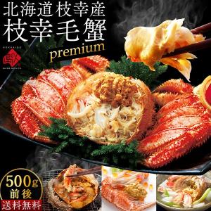 北海道 枝幸産 プレミアム毛蟹 500g前後 　かに カニ