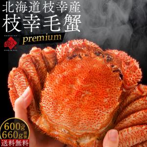 島の人 あさり アサリ 北海道 純・厚岸産 殻付 特大サイズ 800g あさり
