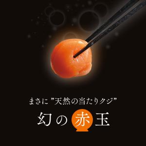 北海道産 ホタテ貝柱 紅白セット 500g ほ...の詳細画像1