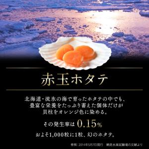 北海道産 ホタテ貝柱 紅白セット 500g ほ...の詳細画像2