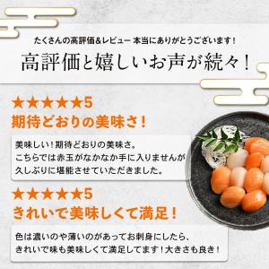 北海道産 ホタテ貝柱 紅白セット 500g ほ...の詳細画像5