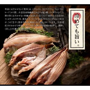 お取り寄せグルメランキング 魚 高級 ご飯のお供 ほっけ ホッケ スティック 干物 1kg 送料無料 骨なし お取り寄せ グルメ フライパン調理で簡単 Pymr Go Th