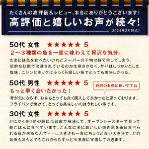 島の人 焼くだけ簡単 3種の干物スティック 計...の詳細画像2