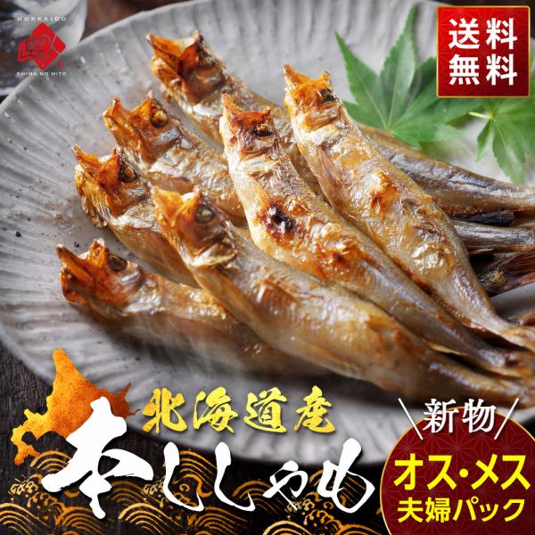 肉厚・濃厚 北海道産 本ししゃも 夫婦パック(オス・メス)各10尾入り