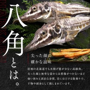 北海道 釧路産 丸干し八角 はっかく 干物 1...の詳細画像1