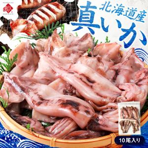 北海道産 真イカ(お手頃サイズ)（丸ごと）10尾入 島の人 お取り寄せグルメ 干物 海鮮 食べ物 イカ　いか　烏賊　スルメイカ