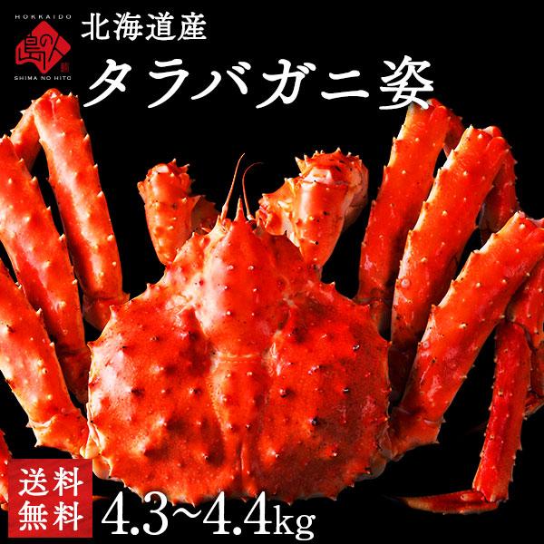 北海道 利尻島産 タラバガニ（姿）4.3kg〜4.4kg ギフト プレゼント 内祝い お歳暮