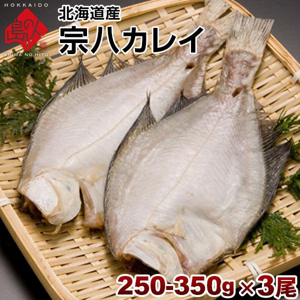 北海道産 宗八カレイ 250-350g  3尾セット 干物 鰈 魚 お取り寄せグルメ 鰈