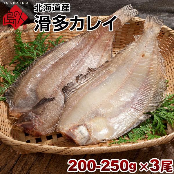 生干し 昆布 干物 カレイ 北海道産 なめたカレイ 200-250g ×3尾セット なめた干物 ギフ...
