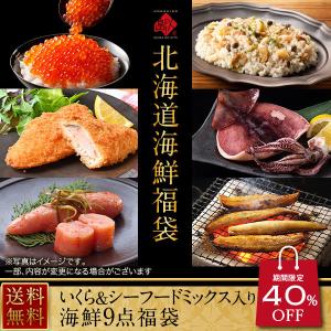 お取り寄せグルメランキング 海鮮福袋 福袋 新春 高級 北海道 グルメ 昆布だしいくら＆シーフードミックス入り 豪華9点福袋 在庫処分 北海道物産展