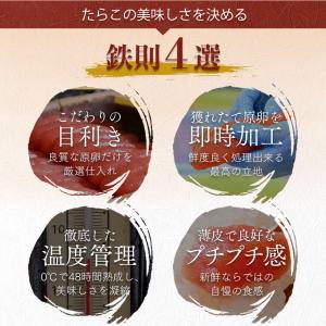 虎杖浜たらこ 一本子 2種食べ比べ 化粧箱入り...の詳細画像3