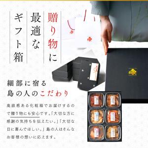 お中元 ギフト 全て北海道産 海鮮丼 6種 セ...の詳細画像5