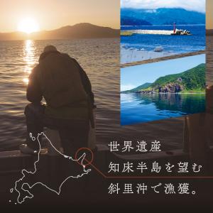 いくら 醤油漬け 北海道産 280g 昆布だし...の詳細画像5