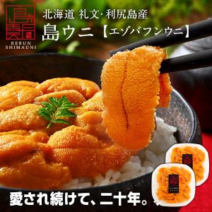 礼文 利尻島産 生エゾバフンウニ 160g 北海道 生うに 雲丹 塩水パック｜島の人