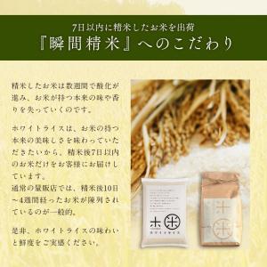 令和7年産 米 ゆめぴりか 無洗米 5kg お...の詳細画像5