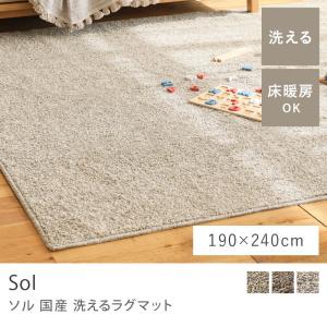 洗える マイクロファイバー ラグ ラグマット colette 130×190 長方形