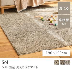 洗える マイクロファイバー ラグ ラグマット colette 130×190 長方形