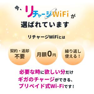 ※EveryDay Low Price【リチャ...の詳細画像1