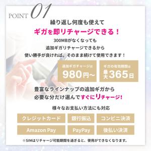 【リチャージSIM】300MB/30日 物理S...の詳細画像4