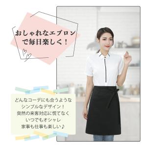 エプロン 下半身 サロン シンプルエプロン カ...の詳細画像4