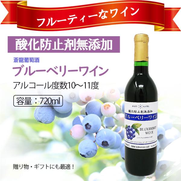ブルーベリーワイン 酸化防止剤無添加 蒼龍葡萄酒 山梨 勝沼 ミディアムボディ 辛口 720ml フ...