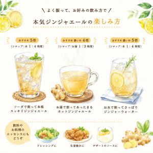 本気ジンジャエール 300ml 希釈用 シロッ...の詳細画像2
